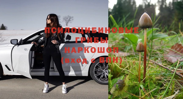 ALPHA-PVP Корсаков