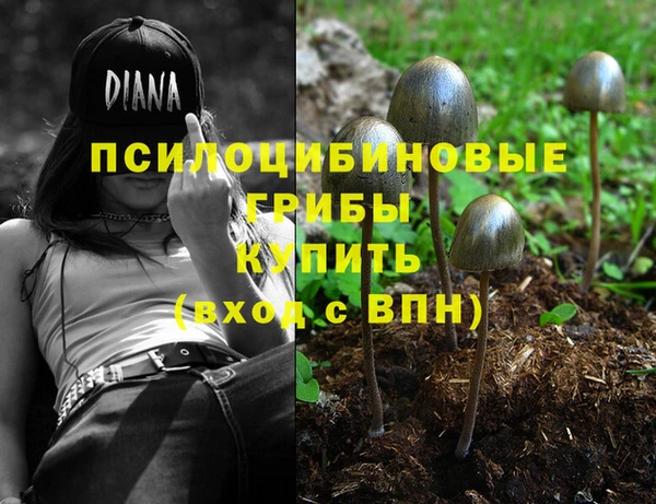 эйфоретик Кодинск